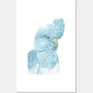 indigo glossy black cockatoo watercolor portrait Posters and Art